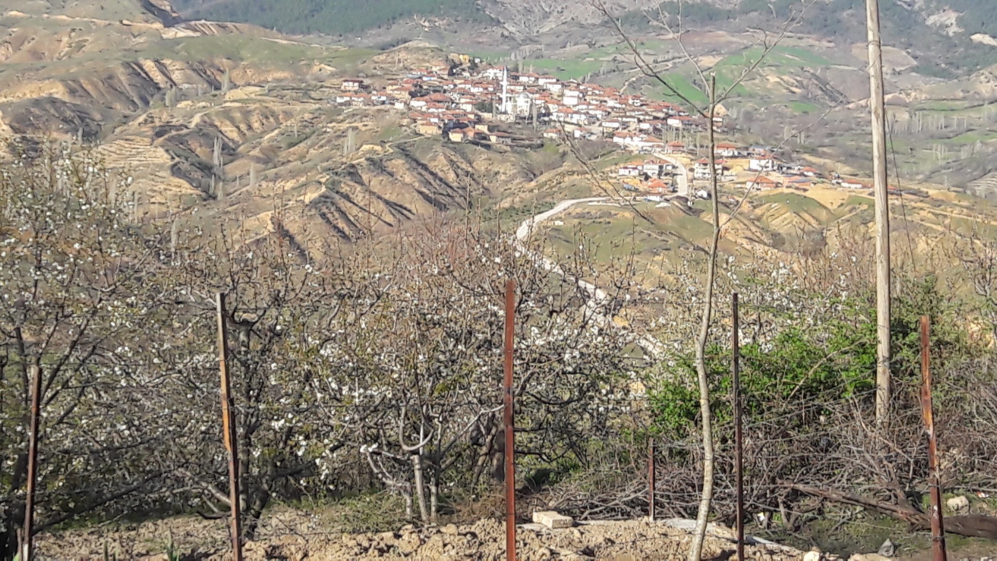 Turgay Asmalıkaya 13 Eylül 2016